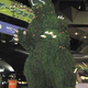 Illustration for article titled Godzilla vs. Baby Jesus